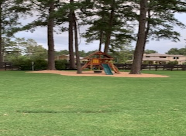 lawn_care02