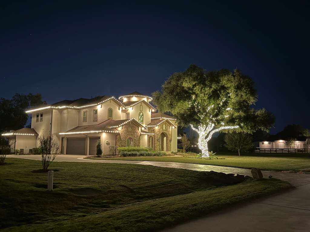 Christmas Pathway Lighting